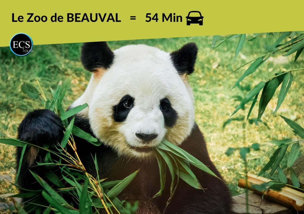 "Le Safari" - 2 Lits - Au Coeur Du Vieux Tours Lägenhet Exteriör bild
